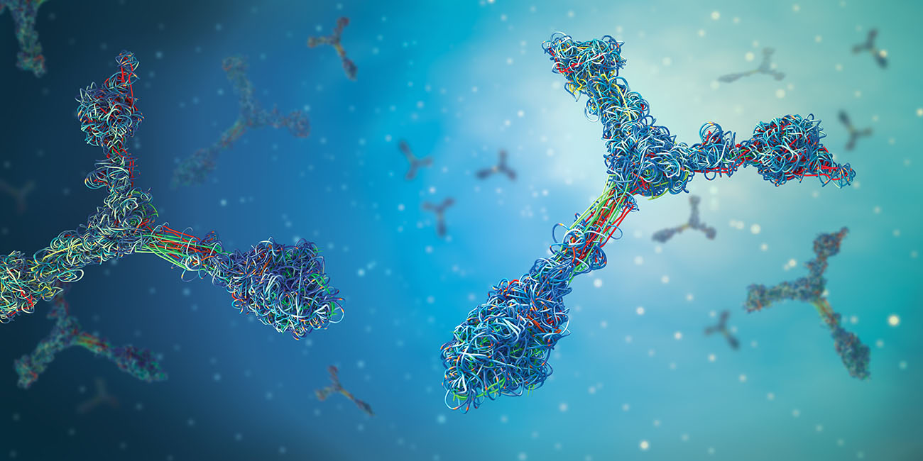 Multicolored,Antibodies,Or,Immunoglobulin,Protein,Structures,-,3d,Illustration